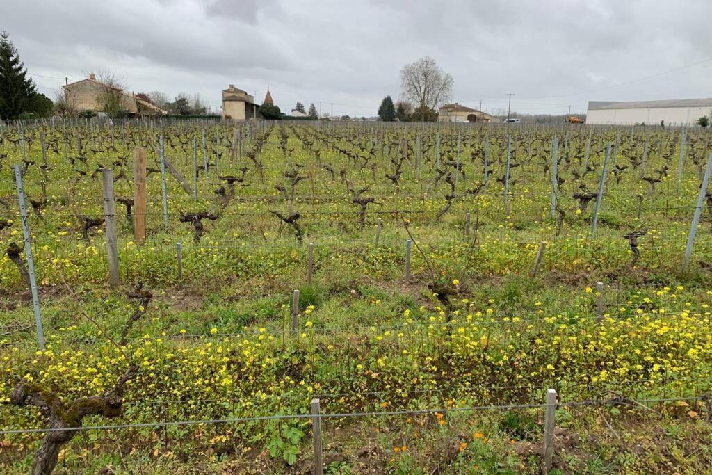 Chateau Roseyrol Proche Saint-Emilion Eksteriør bilde