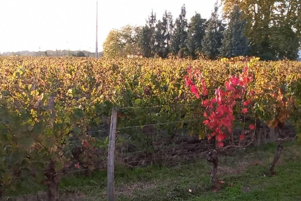 Chateau Roseyrol Proche Saint-Emilion Eksteriør bilde